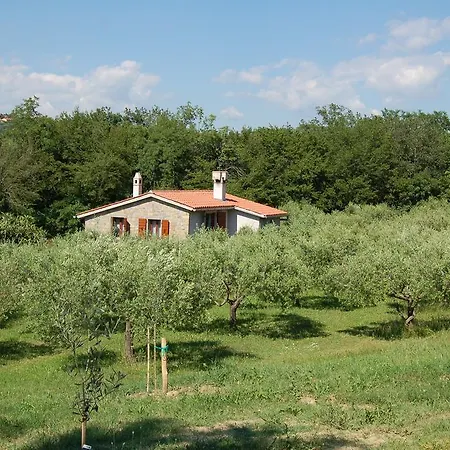 Olivahouse * Marezige