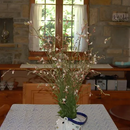 Holiday home Olivahouse *