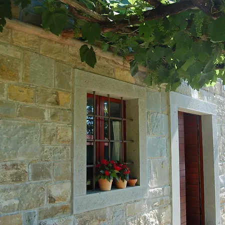 Olivahouse Holiday home Marezige